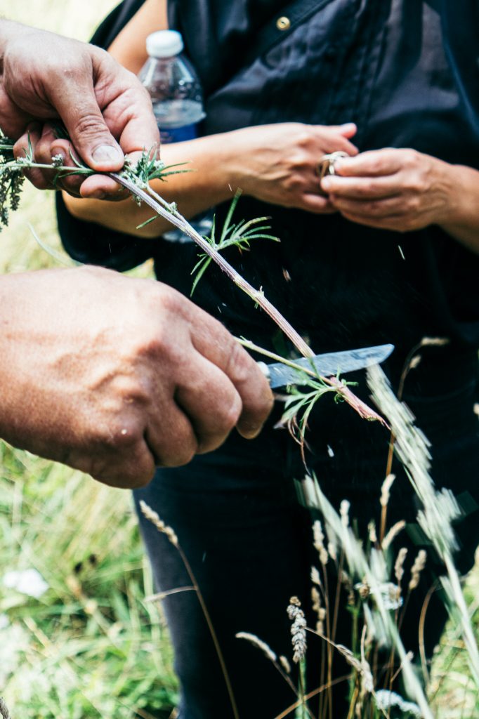 Foraging with Wildfooding