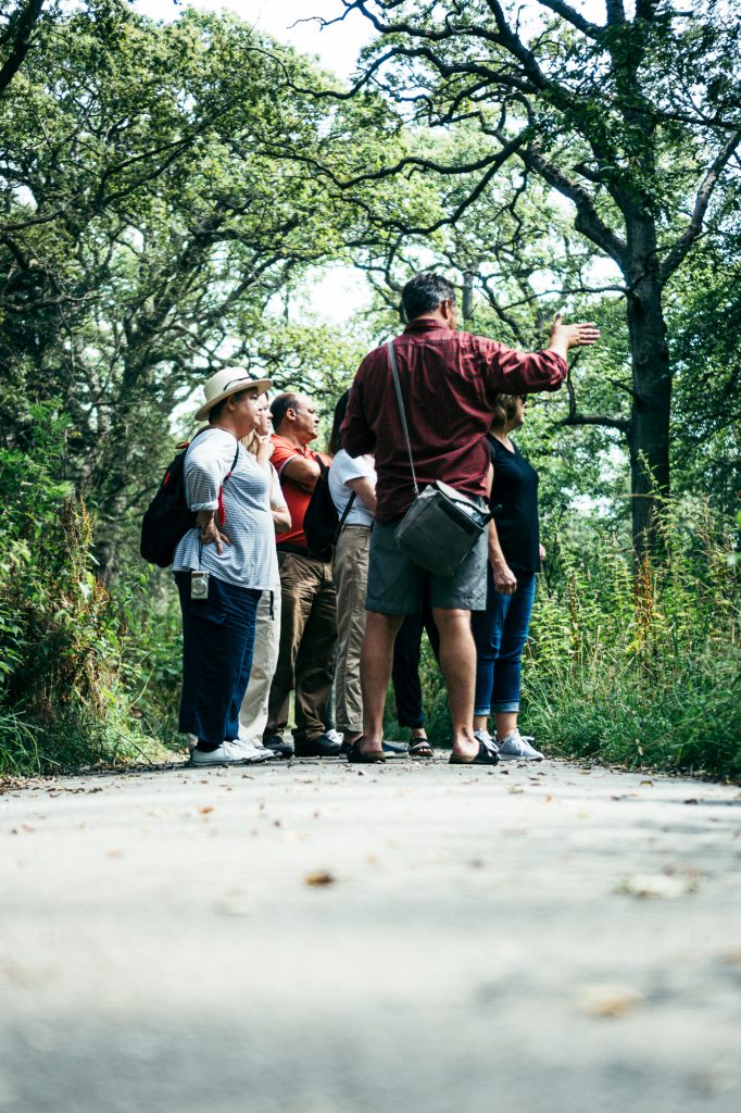 Foraging with Wildfooding